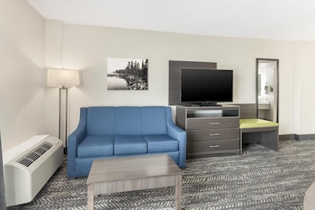 Standard Room, 1 King Bed, Non Smoking (Walk-in Shower;with Sofabed)