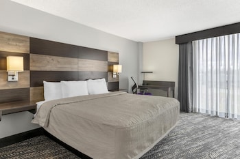 Standard Room, 1 King Bed, Non Smoking (Walk-in Shower;with Sofabed)