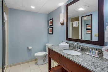 Suite, 1 King Bed with Sofa bed, Non Smoking