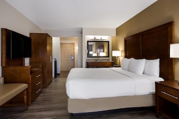 Room, 1 King Bed, Non Smoking