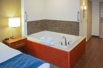 Suite, 1 King Bed with Sofa bed, Non Smoking