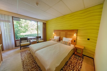 Standard double room with balcony or terrace