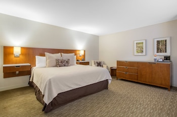 Deluxe Room, 1 King Bed, Accessible (Roll In Shower)