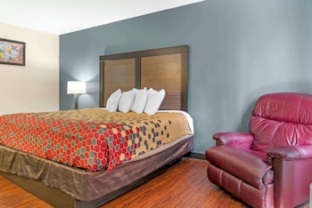 Room, 1 King Bed, Accessible, Non Smoking