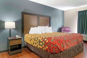 Room, 1 King Bed, Accessible, Non Smoking