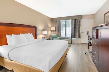 Standard Room, 1 King Bed, Accessible, Bathtub