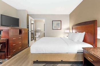 Standard Room, 1 King Bed, Accessible, Bathtub