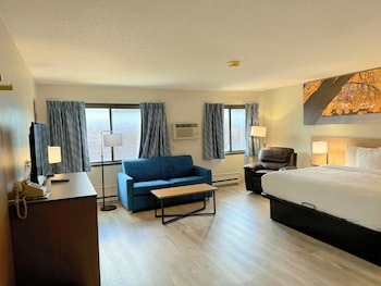 Business Room, 1 King Bed, Refrigerator