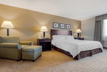 Suite, 1 King Bed, Accessible, Non Smoking