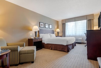 Standard Room, 1 King Bed, Non Smoking
