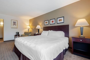 Standard Room, 1 King Bed, Non Smoking