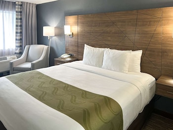 Standard Room, 1 King Bed, Non Smoking