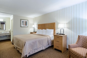 Standard Room, 1 King Bed, Non Smoking