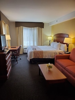 Suite, 1 King Bed with Sofa bed, Non Smoking