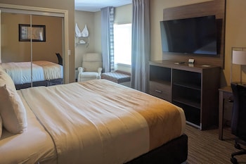 Suite, 1 King Bed with Sofa bed, Non Smoking (Exterior Corridor)