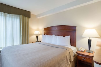 Suite, 1 King Bed with Sofa bed, Non Smoking