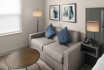 Standard Room, 1 King Bed with Sofa bed