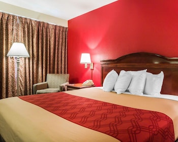 Standard Room, 1 King Bed, Non Smoking