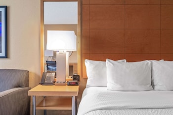 Deluxe Suite, 1 King Bed, Non Smoking