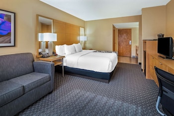 Room, 1 King Bed, Non Smoking