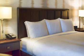 Room, 1 King Bed, Accessible, Non Smoking