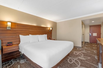 Standard Room, 1 King Bed, Non Smoking