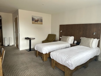 Superior Room, 2 Twin Beds, Non Smoking