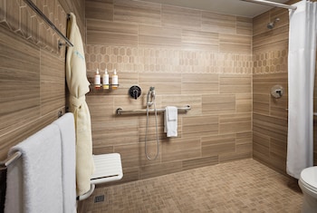 Water View Studio 2 Queens Accessible Shower
