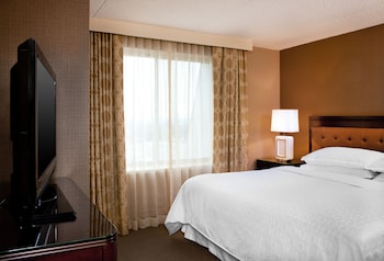 Suite, 1 King Bed with Sofa bed