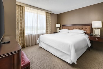 Suite, 1 King Bed with Sofa bed