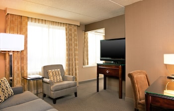 Suite, 1 King Bed with Sofa bed