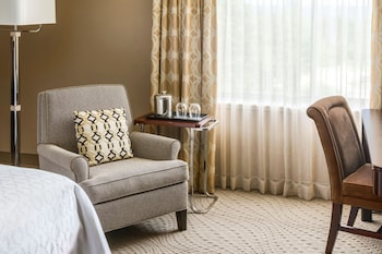 Suite, 1 King Bed with Sofa bed