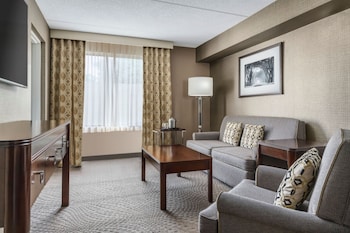 Junior Suite, 1 King Bed with Sofa bed