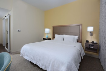 Room, 1 King Bed, Accessible, Bathtub
