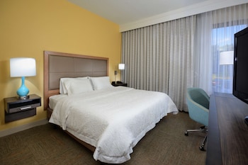 Room, 1 King Bed, Accessible, Bathtub