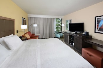 Room, 1 King Bed with Sofa bed, Non Smoking (Study)