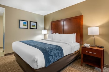 Standard Room, 1 King Bed, Non Smoking