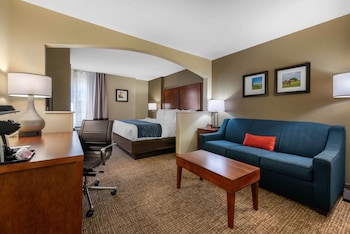 Room, 1 King Bed with Sofa bed, Non Smoking (Upgrade)