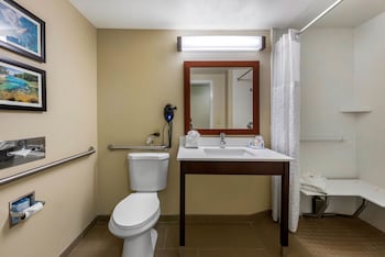 Room, 1 King Bed, Accessible, Non Smoking