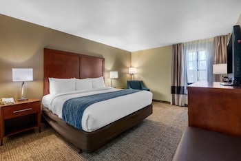 Room, 1 King Bed, Accessible, Non Smoking