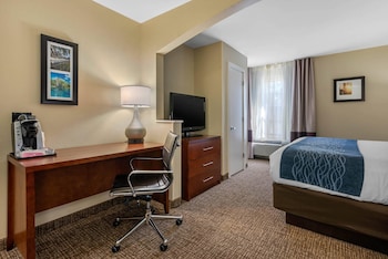 Room, 1 King Bed with Sofa bed, Non Smoking (Upgrade)