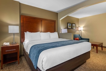 Room, 1 King Bed with Sofa bed, Non Smoking (Upgrade)