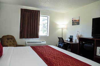 Comfort Single Room, 1 King Bed, Accessible, Non Smoking (42 inch TV)