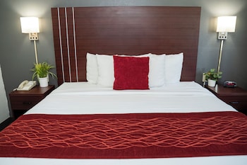 Comfort Single Room, 1 King Bed, Accessible, Non Smoking (42 inch TV)