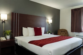 Comfort Single Room, 1 King Bed, Accessible, Non Smoking (42 inch TV)