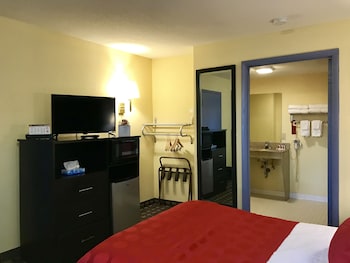 Room, 1 Double Bed, Accessible, Non Smoking (Bathtub with Grab Bars)
