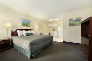 Efficiency, Room, 1 King Bed, Non Smoking