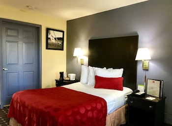 Room, 1 Double Bed, Accessible, Non Smoking (Bathtub with Grab Bars)