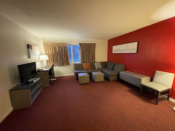 Basic Studio Suite, 1 King Bed, Non Smoking