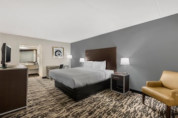 Standard Room, 1 King Bed, Smoking